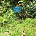 Sipyen Waterfall in Kosrae