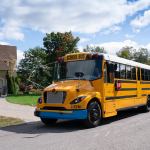 LionC-092020-011-LR