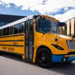 LionC-092020-001-LR