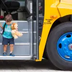 lion-bus-web-erin-schaff-6